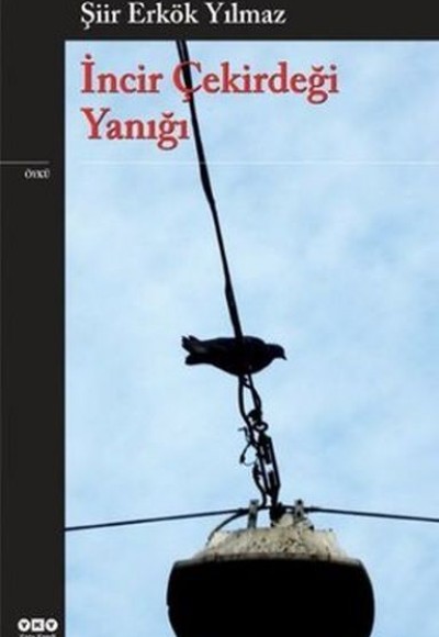 İncir Çekirdeği Yanığı İncir Çekirdeği Yanığı