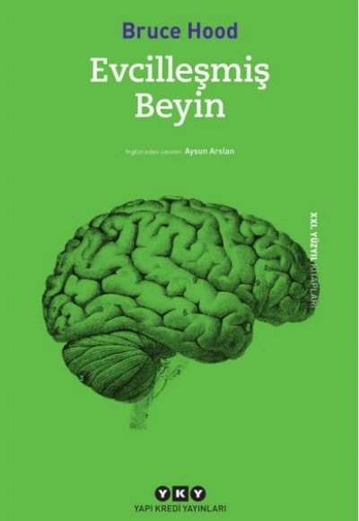 Evcilleşmiş Beyin Evcilleşmiş Beyin