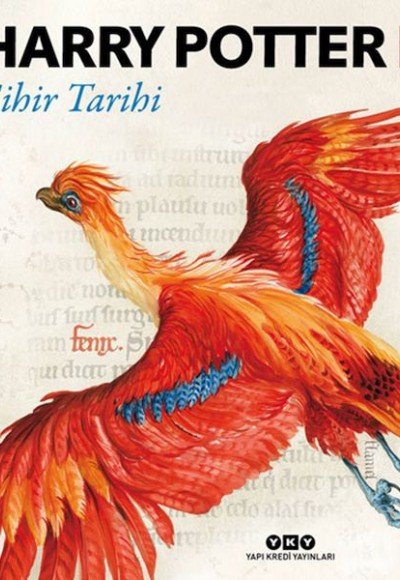 Harry Potter: Sihir Tarihi Harry Potter: Sihir Tarihi