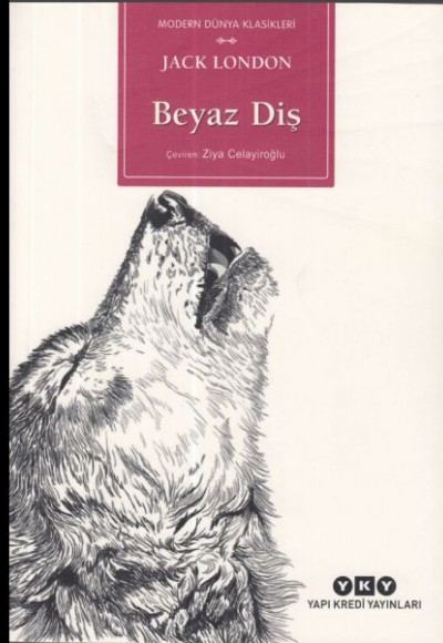 Beyaz Diş Beyaz Diş