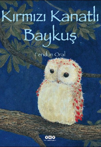 Kırmızı Kanatlı Baykuş Kırmızı Kanatlı Baykuş