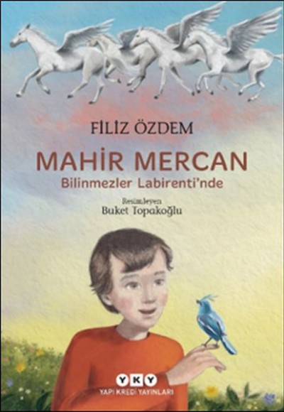 Mahir Mercan - Bilinmezler Labirenti’nde Mahir Mercan - Bilinmezler Labirenti’nde