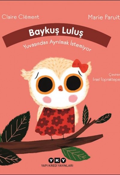 Baykuş Luluş Yuvasından Ayrılmak İstemiyor Baykuş Luluş Yuvasından Ayrılmak İstemiyor