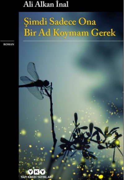 Şimdi Sadece Ona Bir Ad Koymam Gerek Şimdi Sadece Ona Bir Ad Koymam Gerek