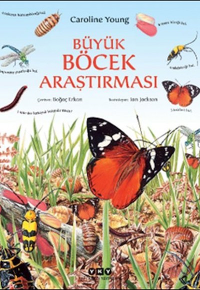 Büyük Böcek Araştırması Büyük Böcek Araştırması