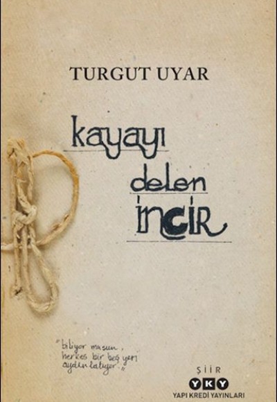 Kayayı Delen İncir Kayayı Delen İncir