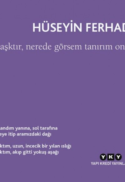 Aşktır, Nerede Görsem Tanırım Onu Aşktır, Nerede Görsem Tanırım Onu