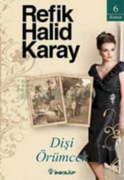 Dişi Örümcek Dişi Örümcek