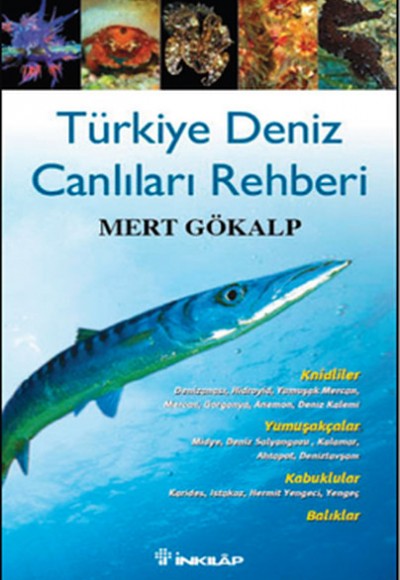 Türkiye Deniz Canlıları Rehberi Türkiye Deniz Canlıları Rehberi