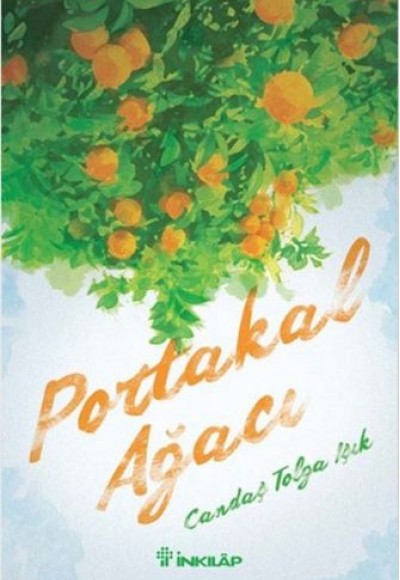 Portakal Ağacı Portakal Ağacı