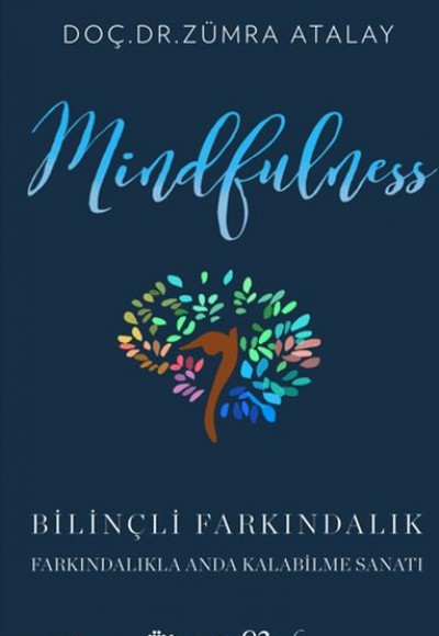 Mindfulness (Bilinçli Farkındalık) Mindfulness (Bilinçli Farkındalık)