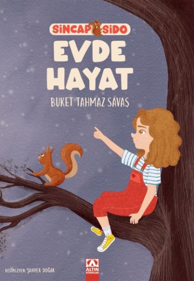 Sincap Sido Evde Hayat Sincap Sido Evde Hayat