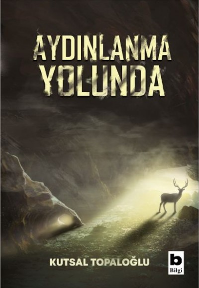 Aydınlanma Yolunda Aydınlanma Yolunda