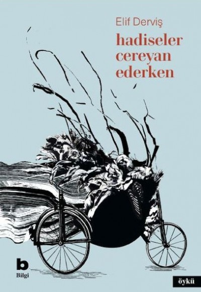 Hadiseler Cereyan Ederken Hadiseler Cereyan Ederken