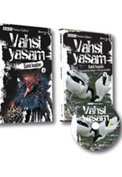 Vahşi Yaşam 2 - Sahil Kuşları Vahşi Yaşam 2 - Sahil Kuşları