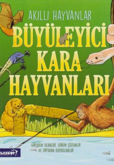 Akıllı Hayvanlar Büyüleyici Kara Hayvanları Akıllı Hayvanlar Büyüleyici Kara Hayvanları