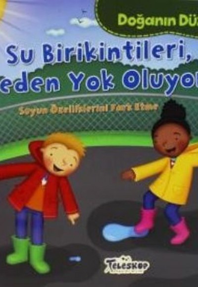 Doğanın Düzeni Su Birikintileri Neden Yok Oluyor? Doğanın Düzeni Su Birikintileri Neden Yok Oluyor?
