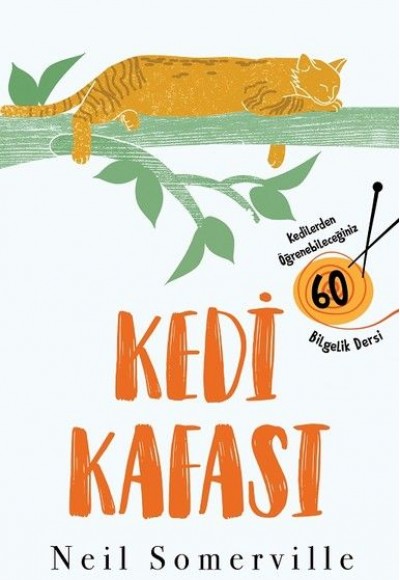 Kedi Kafası Kedi Kafası