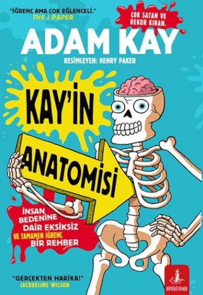 Kay’in Anatomisi Kay’in Anatomisi