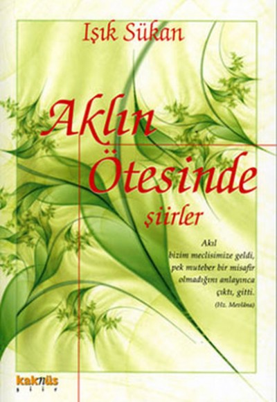 Aklın Ötesinde Şiirler Aklın Ötesinde Şiirler