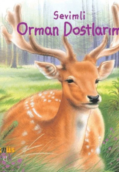 Sevimli Orman Dostlarım Sevimli Orman Dostlarım