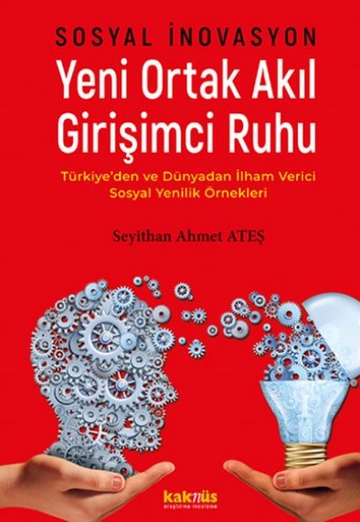 Sosyal İnovasyon Yeni Ortak Akıl Girişimci Ruhu Sosyal İnovasyon Yeni Ortak Akıl Girişimci Ruhu