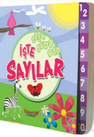 İşte Sayılar İşte Sayılar