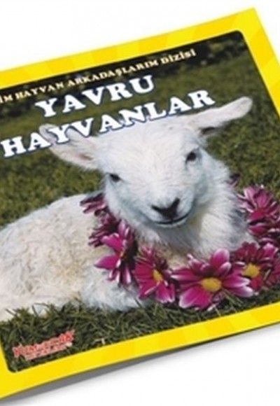 Yavru Hayvanlar - Benim Hayvan Arkadaşlarım Dizisi 3 Yavru Hayvanlar - Benim Hayvan Arkadaşlarım Dizisi 3