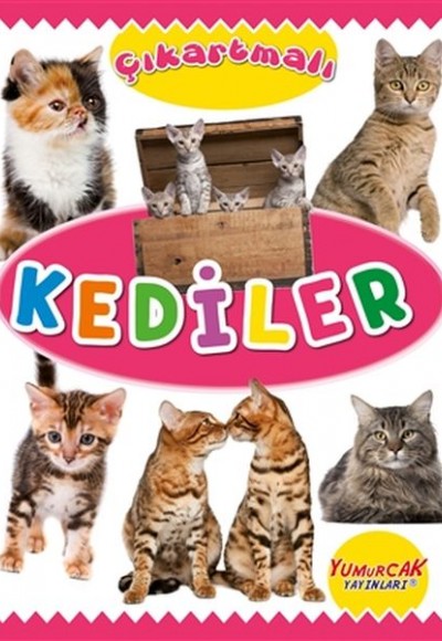 Çıkartmalı Kediler Çıkartmalı Kediler