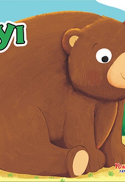 Ayı - Şekilli Kitap Ayı - Şekilli Kitap