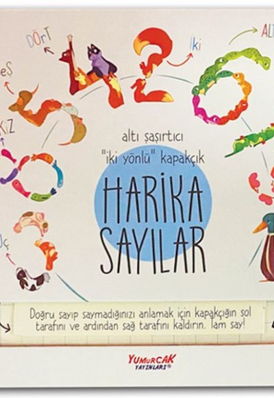 Harika Sayılar (Kapakçıklı) Harika Sayılar (Kapakçıklı)