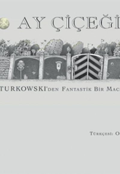 Ay Çiçeği Ay Çiçeği