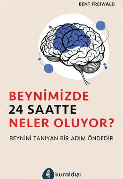 Beynimizde 24 Saatte Neler Oluyor? Beynimizde 24 Saatte Neler Oluyor?
