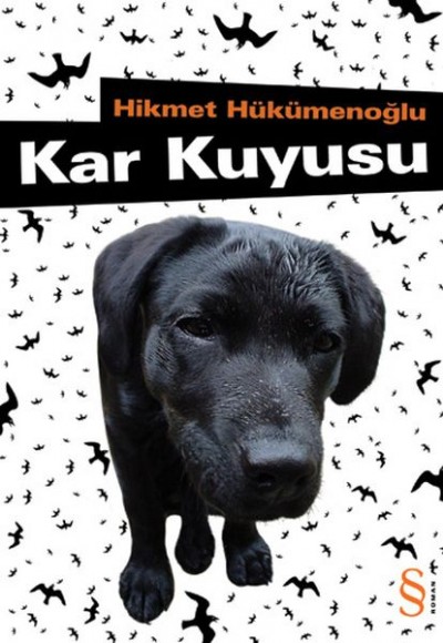 Kar Kuyusu Kar Kuyusu