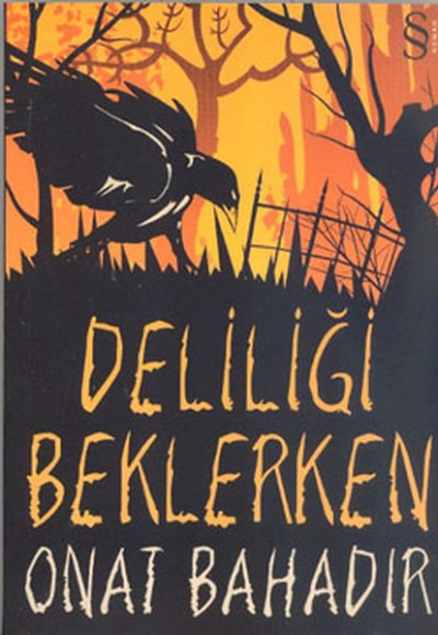Deliliği Beklerken Deliliği Beklerken