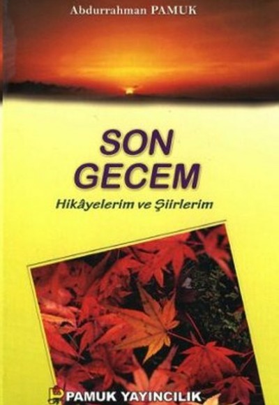 Son Gecem - Hikayelerim ve Şiirlerim Son Gecem - Hikayelerim ve Şiirlerim