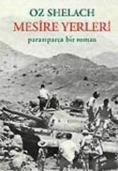 Mesire Yerleri / Paramparça Bir Roman Mesire Yerleri / Paramparça Bir Roman