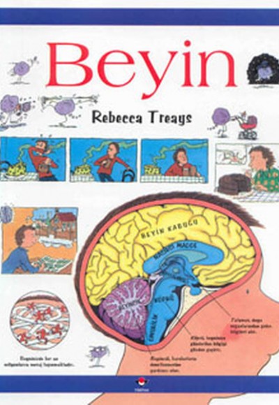 Beyin Beyin