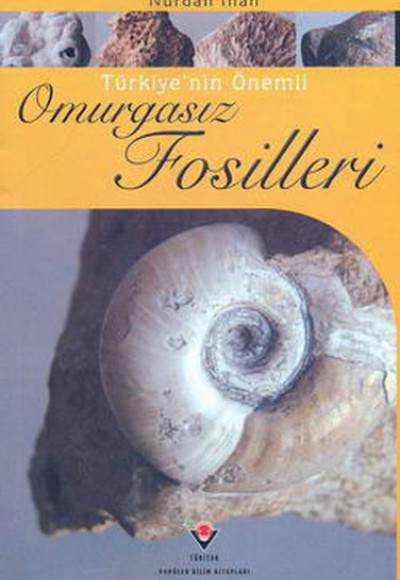 Türkiye'nin Önemli Omurgasız Fosilleri Türkiye'nin Önemli Omurgasız Fosilleri