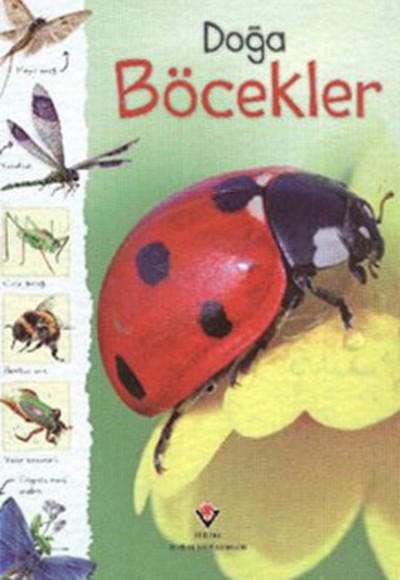 Doğa - Böcekler Doğa - Böcekler