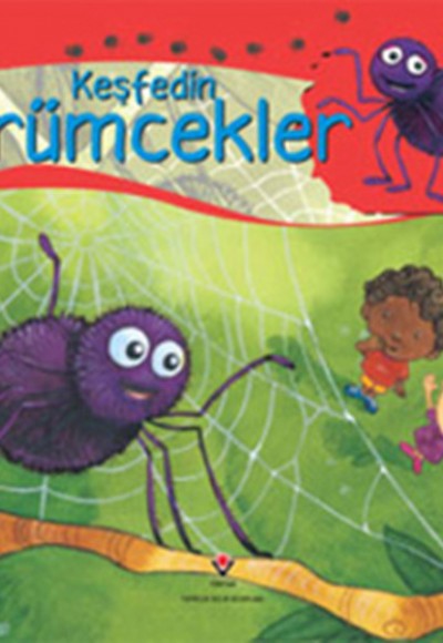 Keşfedin / Örümcekler Keşfedin / Örümcekler