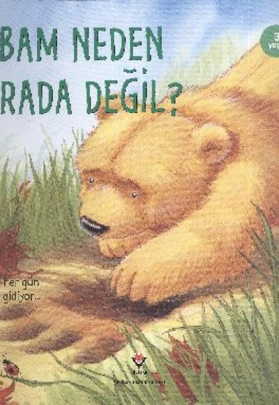 Babam Neden Burada Değil? Babam Neden Burada Değil?