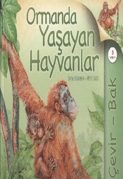 Çevir Bak Ormanda Yaşayan Hayvanlar Çevir Bak Ormanda Yaşayan Hayvanlar