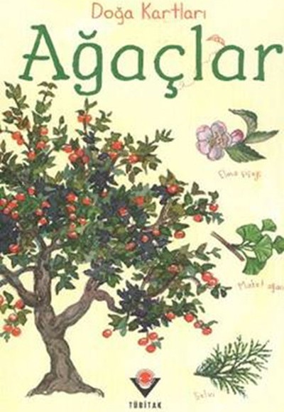 Doğa Kartları - Ağaçlar Doğa Kartları - Ağaçlar