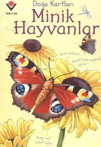 Doğa Kartları - Minik Hayvanlar Doğa Kartları - Minik Hayvanlar
