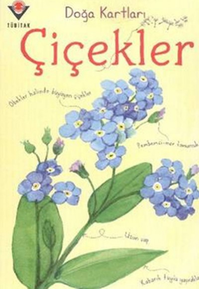 Doğa Kartları - Çiçekler Doğa Kartları - Çiçekler