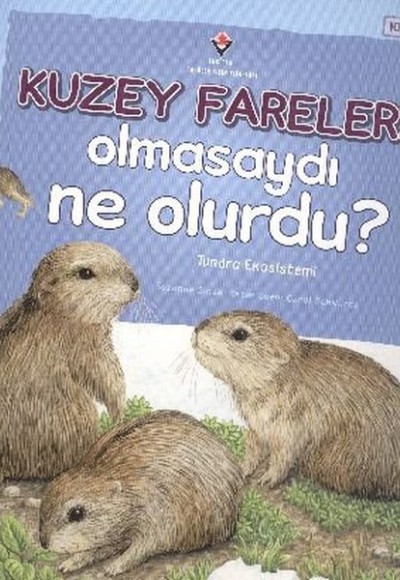 Kuzey Fareleri Olmasaydı Ne Olurdu? Kuzey Fareleri Olmasaydı Ne Olurdu?