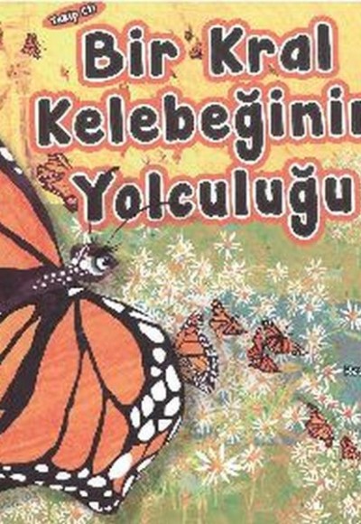 Takip Et! - Bir Kral Kelebeğinin Yolculuğu Takip Et! - Bir Kral Kelebeğinin Yolculuğu