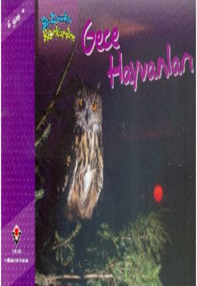 Bir Zamanlar Korkardım - Gece Hayvanları Bir Zamanlar Korkardım - Gece Hayvanları