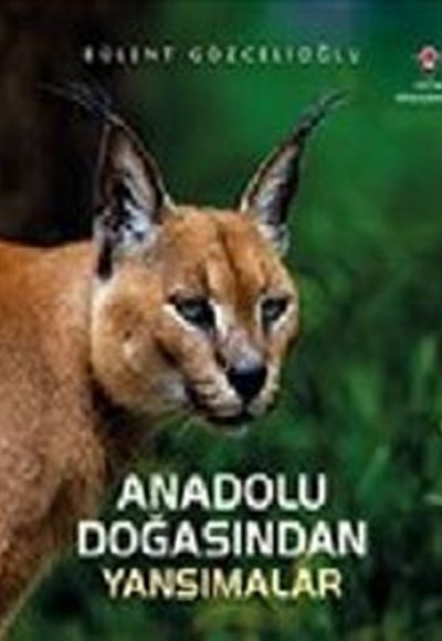 Anadolu Doğasından Yansımalar (Ciltli) Anadolu Doğasından Yansımalar (Ciltli)